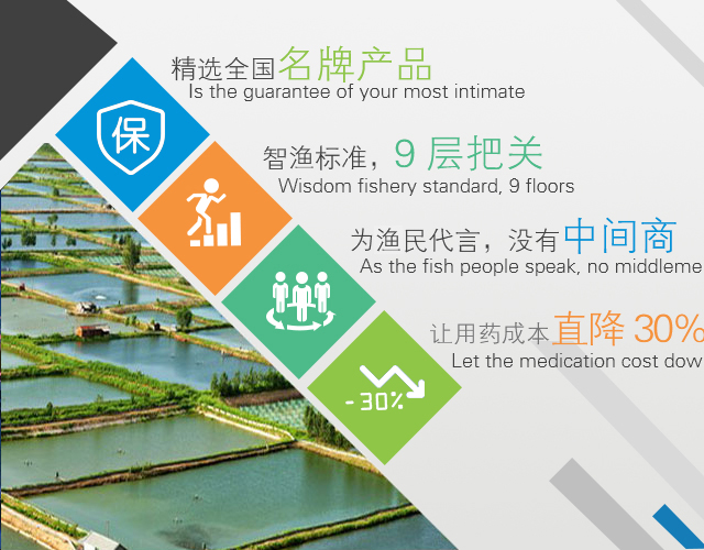 &#76;&#69;&#84;&#79;&#85;&#46;&#67;&#79;&#77;&#45;&#20048;&#25237;&#65288;&#20013;&#22269;&#65289;