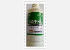 &#76;&#69;&#84;&#79;&#85;&#46;&#67;&#79;&#77;&#45;&#20048;&#25237;&#65288;&#20013;&#22269;&#65289;