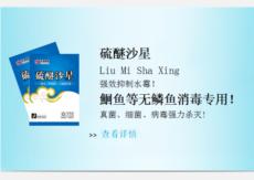 &#76;&#69;&#84;&#79;&#85;&#46;&#67;&#79;&#77;&#45;&#20048;&#25237;&#65288;&#20013;&#22269;&#65289;